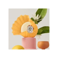 Roger & Gallet Jabón Perfumado Bois D'Orange